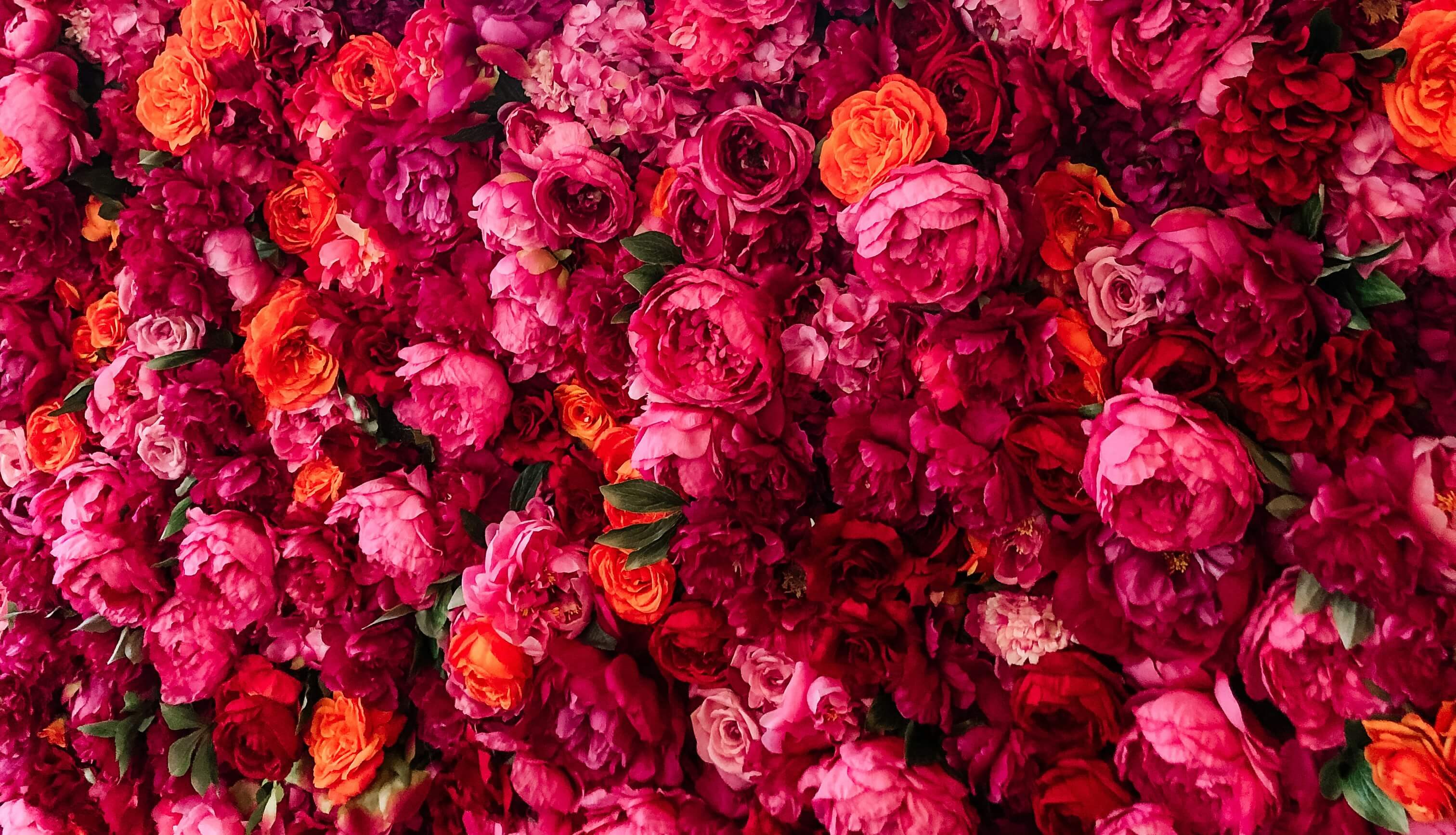 Contact background image of flowers